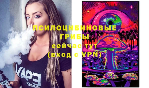 дживик Беломорск