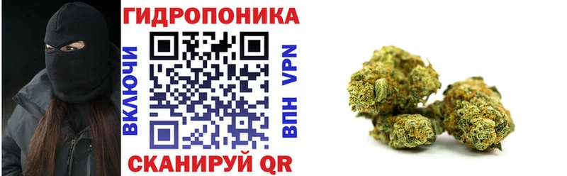 Конопля ГИДРОПОН  Энем 